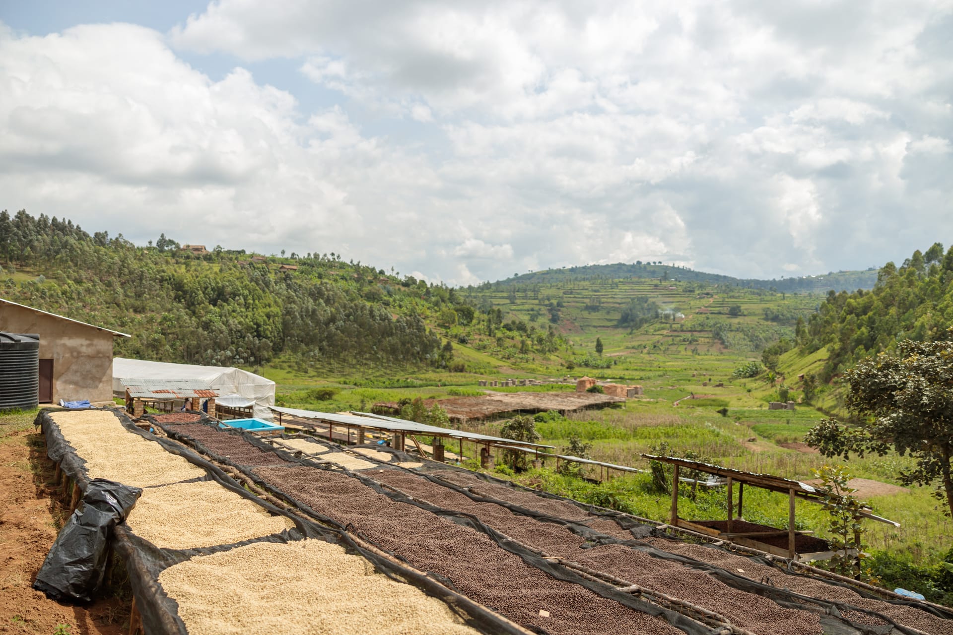 Colombia coffee origin